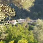 Hotel Petita Mare
